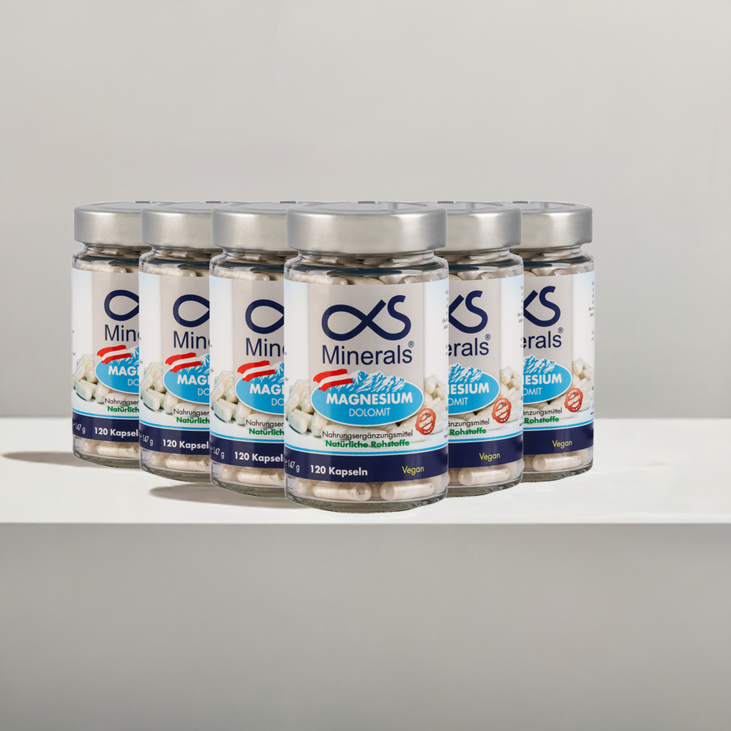 Vorteilspack: 6x Magnesium Austria 120St