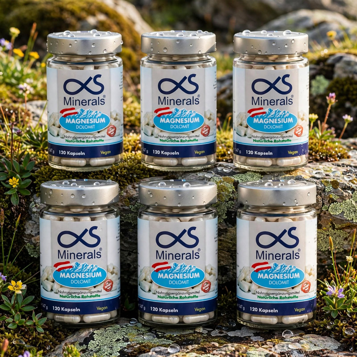 Vorteilspack: 6x Magnesium Austria 120St